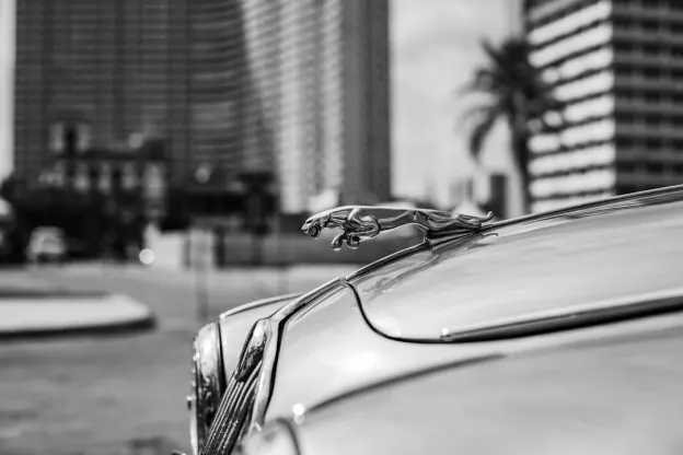 カズームカジノ カジノ Android/iOS アプリ